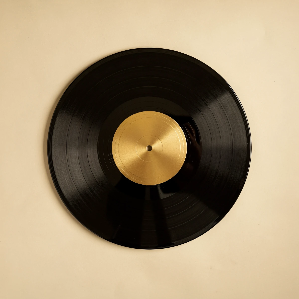 LP vinyl disc (가상)
